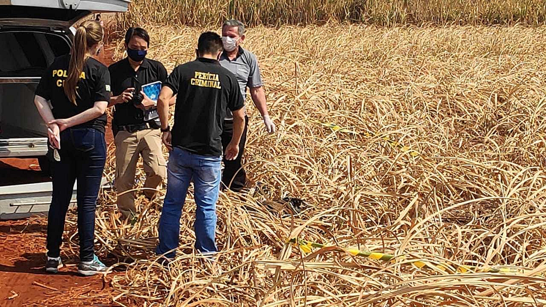 Mulher achada morta em lavoura de cana era ex-presidiária e tinha 52 anos