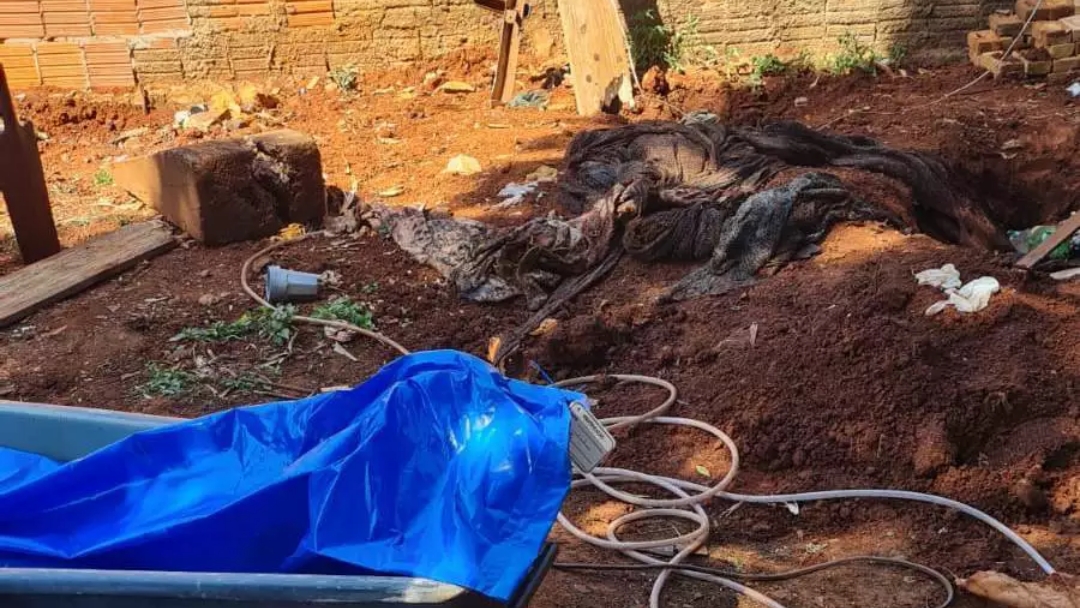 Mulher enterrada em quintal morreu com golpe na cabe&ccedil;a e facadas no pesco&ccedil;o