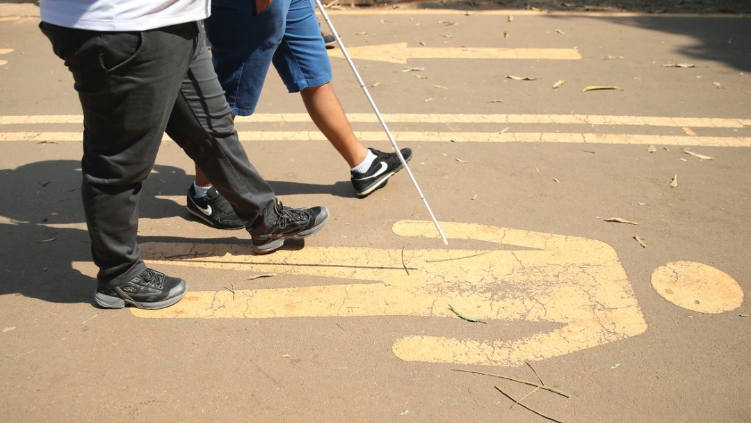 Pessoas com defici&ecirc;ncia em 2019 eram 17,3 milh&otilde;es, de 2 anos ou mais