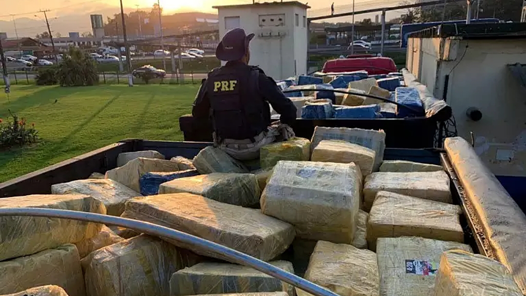 Pol&iacute;cia catarinense apreende 24 toneladas de maconha que sa&iacute;ram de MS