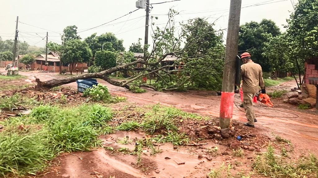 Zona rural enfrenta caos sem energia, internet e avi&aacute;rios recorrem a geradores