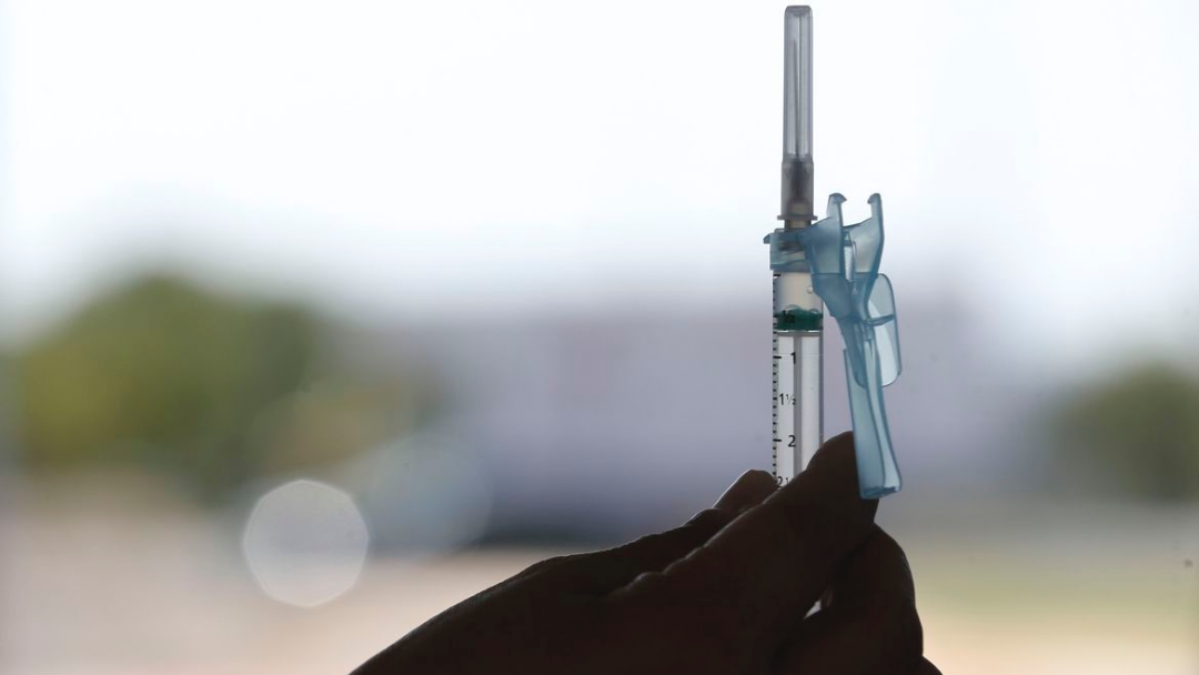 Lote com mais de 1 milh&atilde;o de vacinas contra covid-19 chega ao Brasil