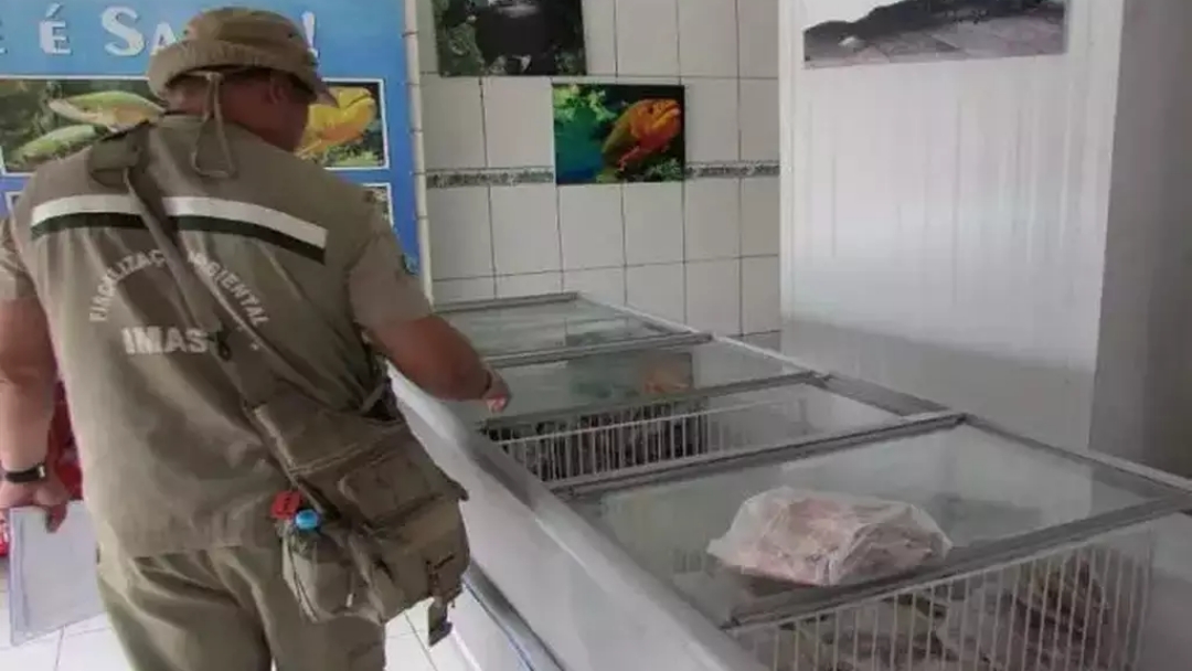 Fiscaliza&ccedil;&atilde;o de peixarias e restaurantes come&ccedil;a nesta segunda-feira