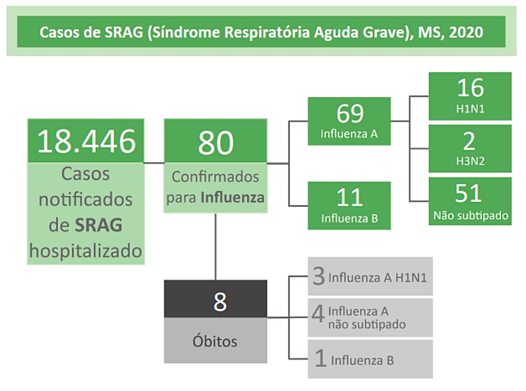 Pela 1&ordf; vez em nove anos, MS n&atilde;o registra morte por gripe