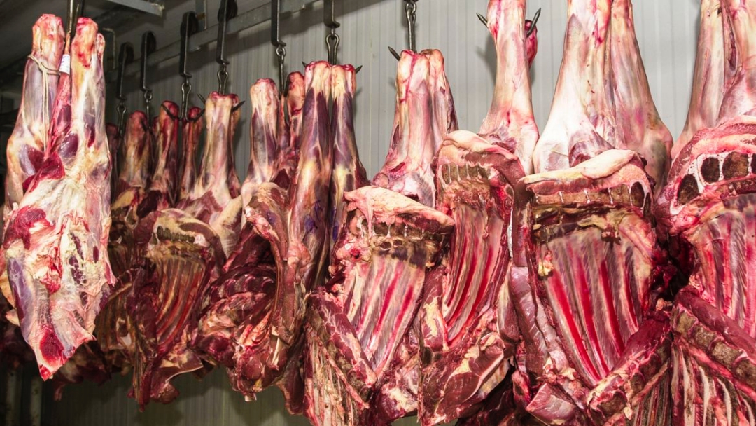 China retoma importa&ccedil;&atilde;o de carne brasileira