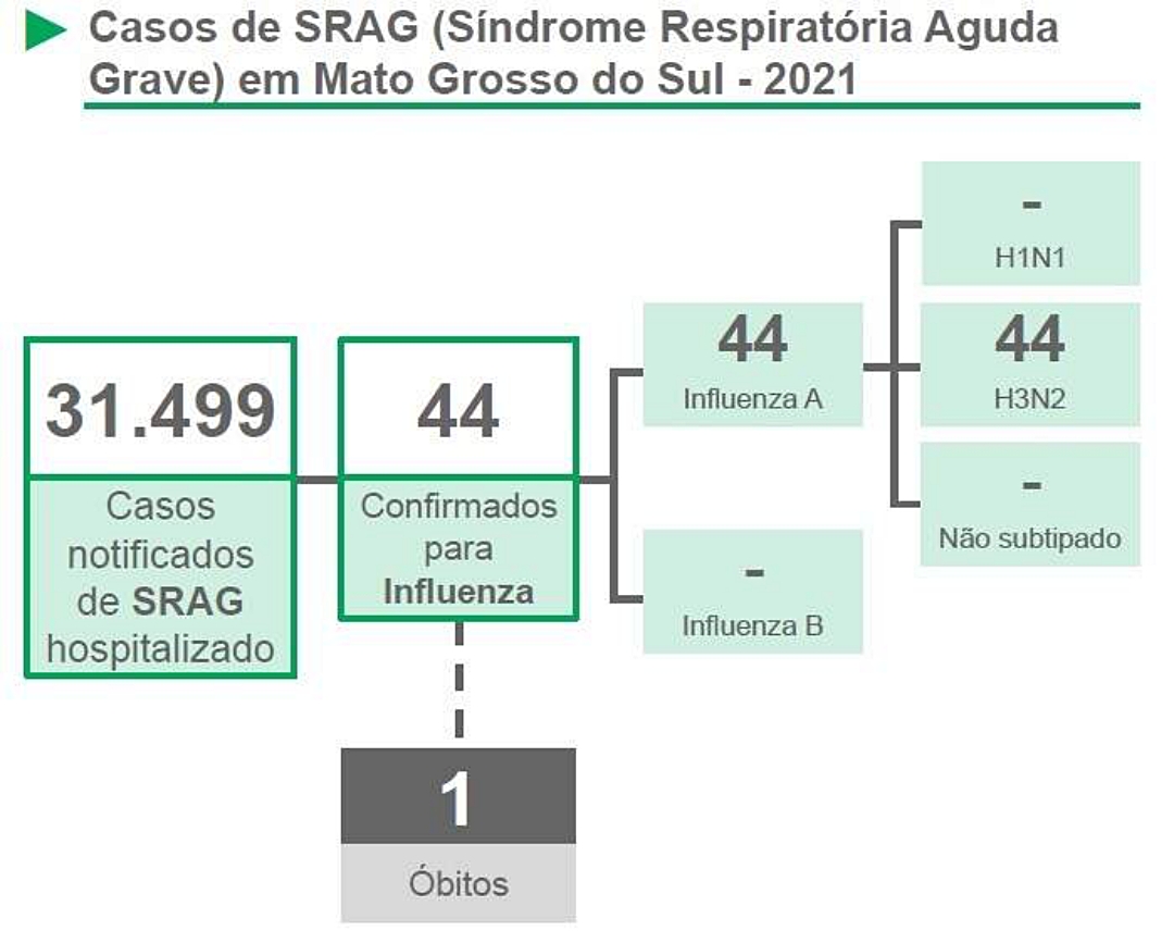 Nova gripe H3N2 faz a primeira v&iacute;tima no Estado