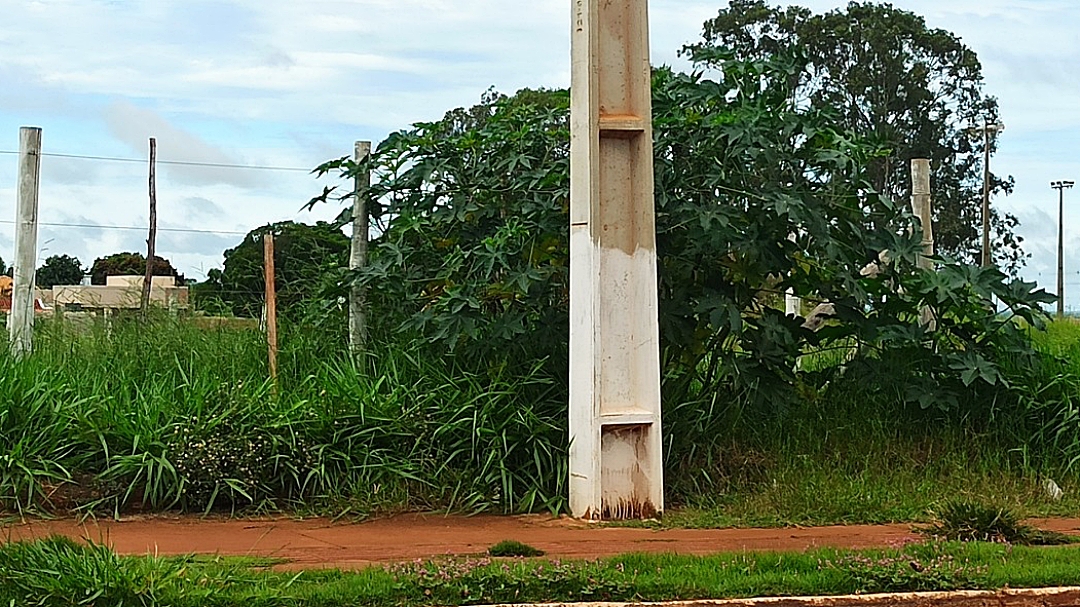 Com novo c&oacute;digo, n&atilde;o limpar terreno pode gerar multa de at&eacute; R$ 1.722,40