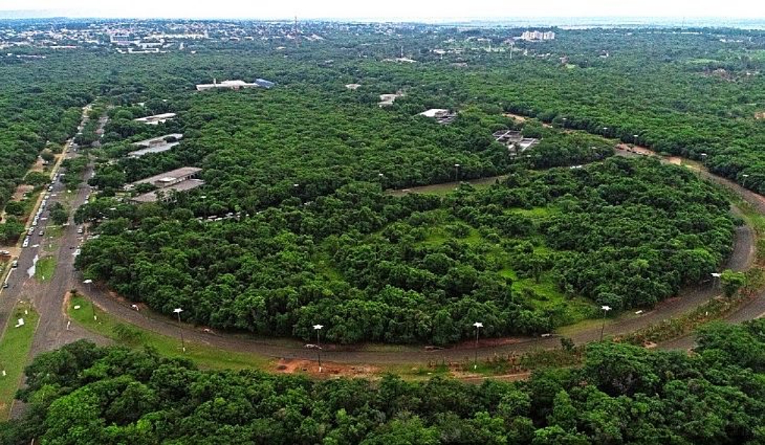 Lei moderniza carreira de Gest&atilde;o Organizacional reivindicada h&aacute; 16 anos pelos servidores