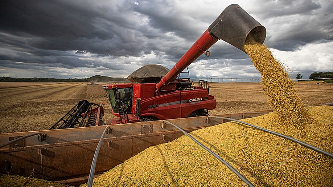 Brasil exporta 86 milh&otilde;es de toneladas de soja e bate recorde