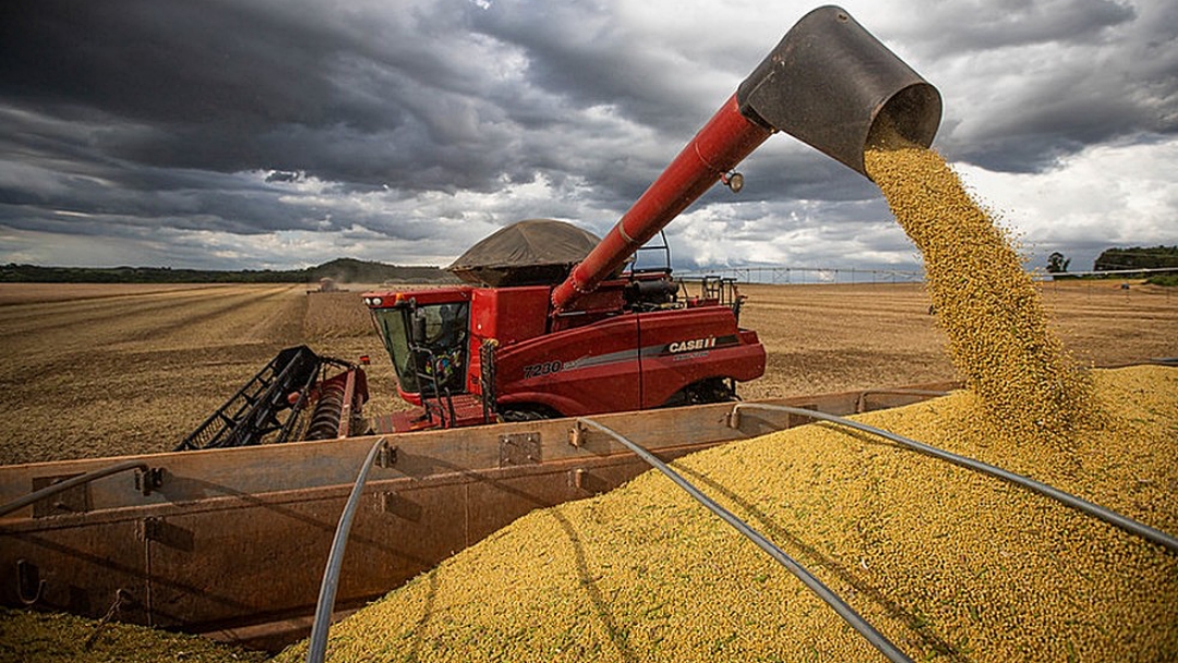 2021: Faturamento da agropecu&aacute;ria cresce 10% e atinge R$ 1,129 trilh&atilde;o