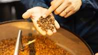 Safra de caf&eacute; deve registrar aumento de 16,8%, diz Conab