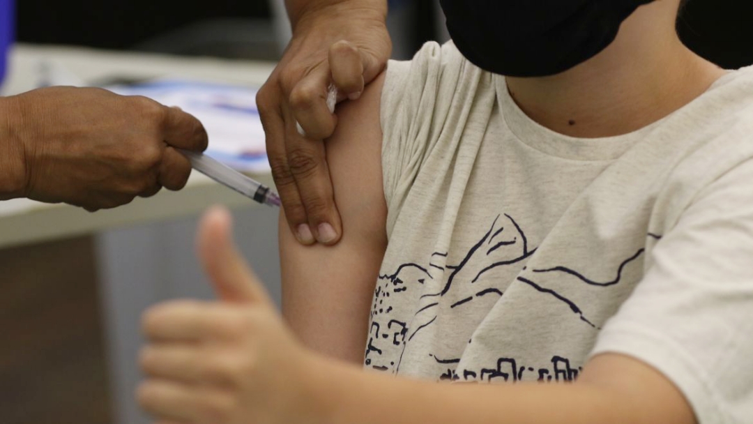 Brasil recebe mais 2,1 milh&otilde;es de doses de vacinas da Pfizer