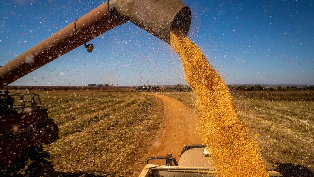 Seca causa preju&iacute;zo de quase R$ 3 bilh&otilde;es na safra de soja em MS