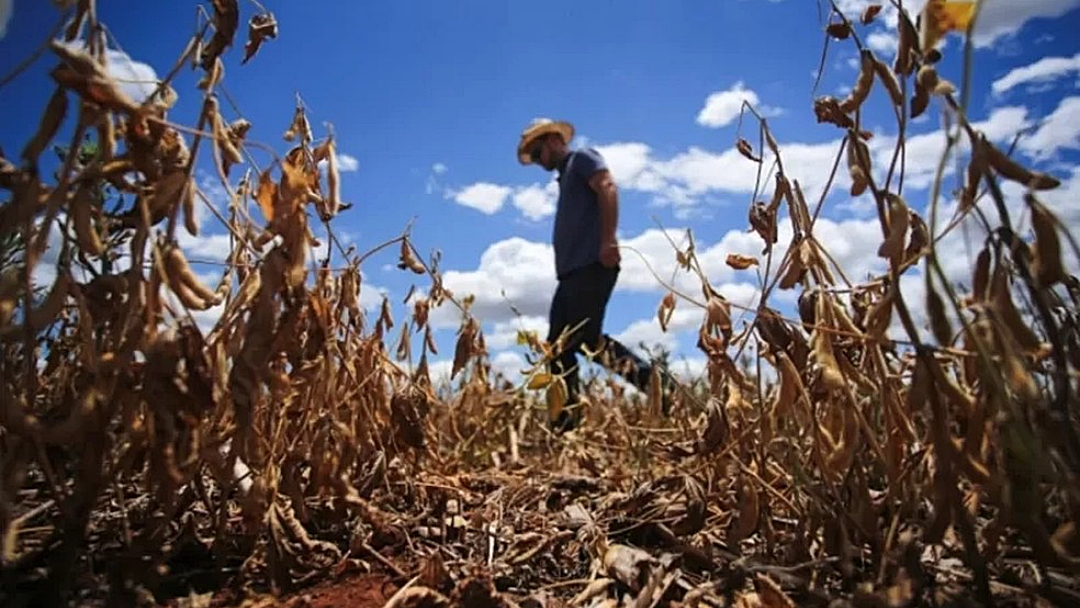 Agropecu&aacute;ria recuou 0,2% no PIB de 2021 por impactos clim&aacute;ticos