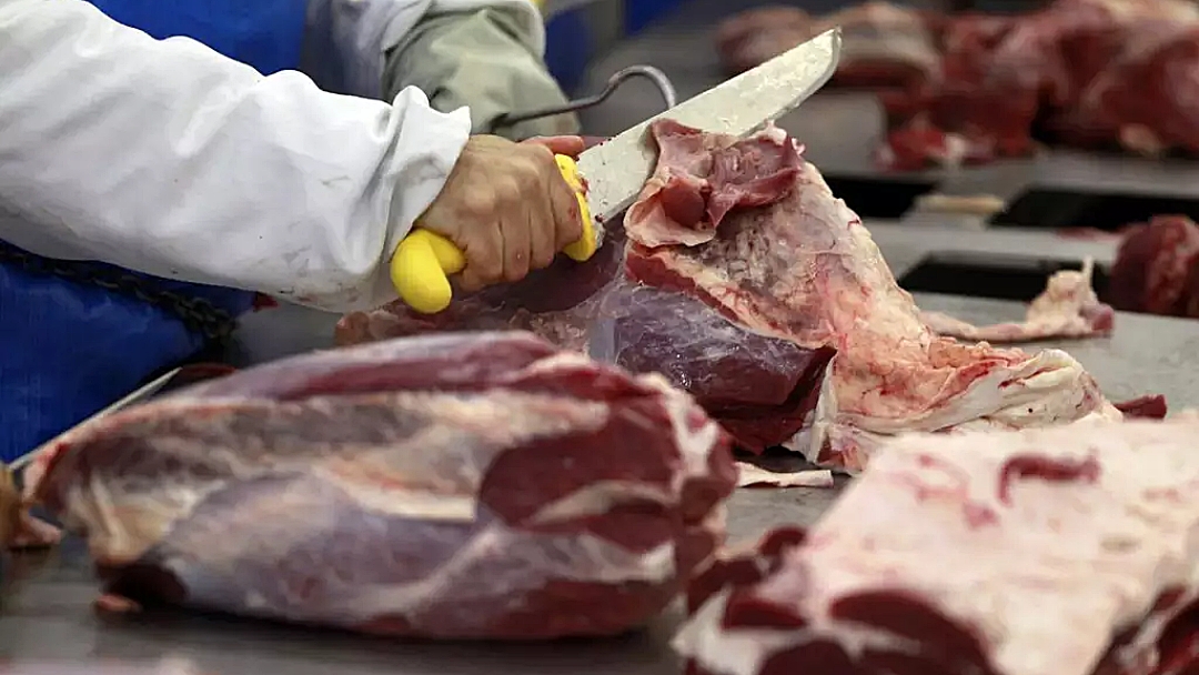 Exporta&ccedil;&otilde;es totais de carne bovina crescem 47% em fevereiro