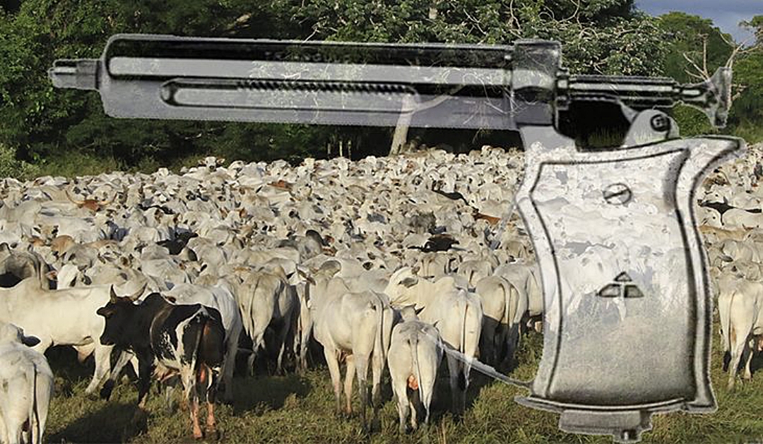 Calend&aacute;rio de vacina&ccedil;&atilde;o contra aftosa ser&aacute; invertido em MS