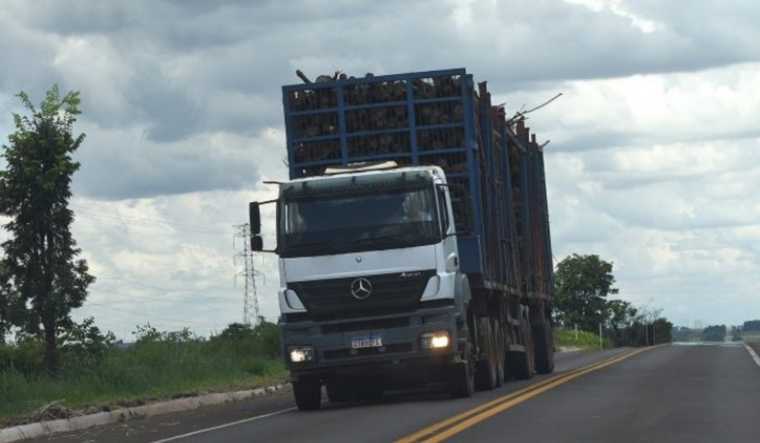 Governo restabelece pagamento de taxa de transporte de eucalipto