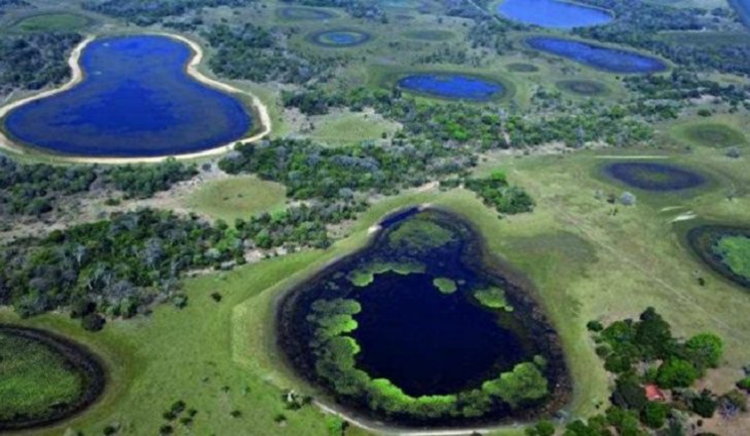 Munic&iacute;pios t&ecirc;m at&eacute; 31 de mar&ccedil;o para garantir recursos do ICMS Ecol&oacute;gico