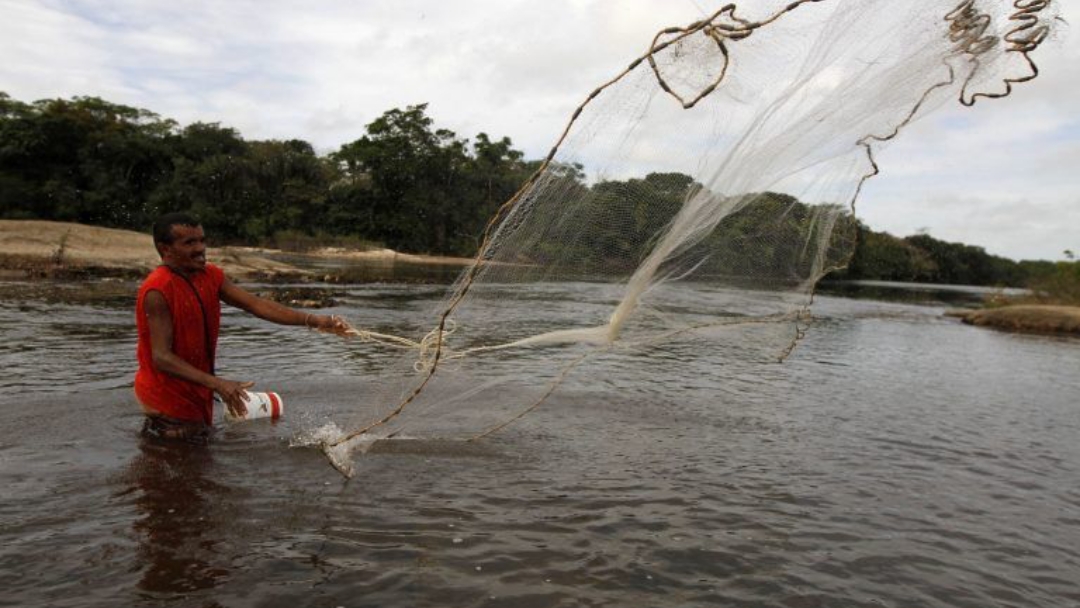 Projeto de Beto Pereira proíbe pesca do dourado por cinco anos nos rios brasileiros