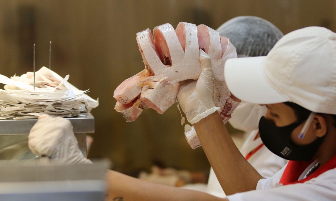 Al&eacute;m de tradi&ccedil;&atilde;o, pescado &eacute; op&ccedil;&atilde;o econ&ocirc;mica para a Semana Santa