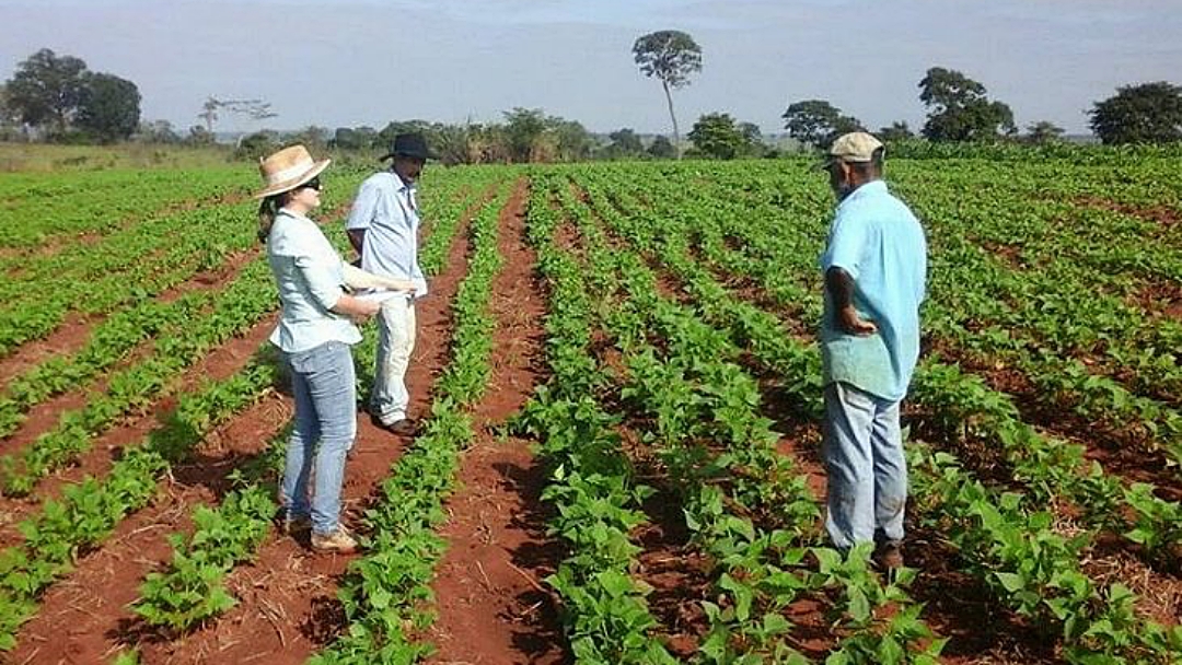 Aldeias ind&iacute;genas v&atilde;o receber 137 toneladas de sementes