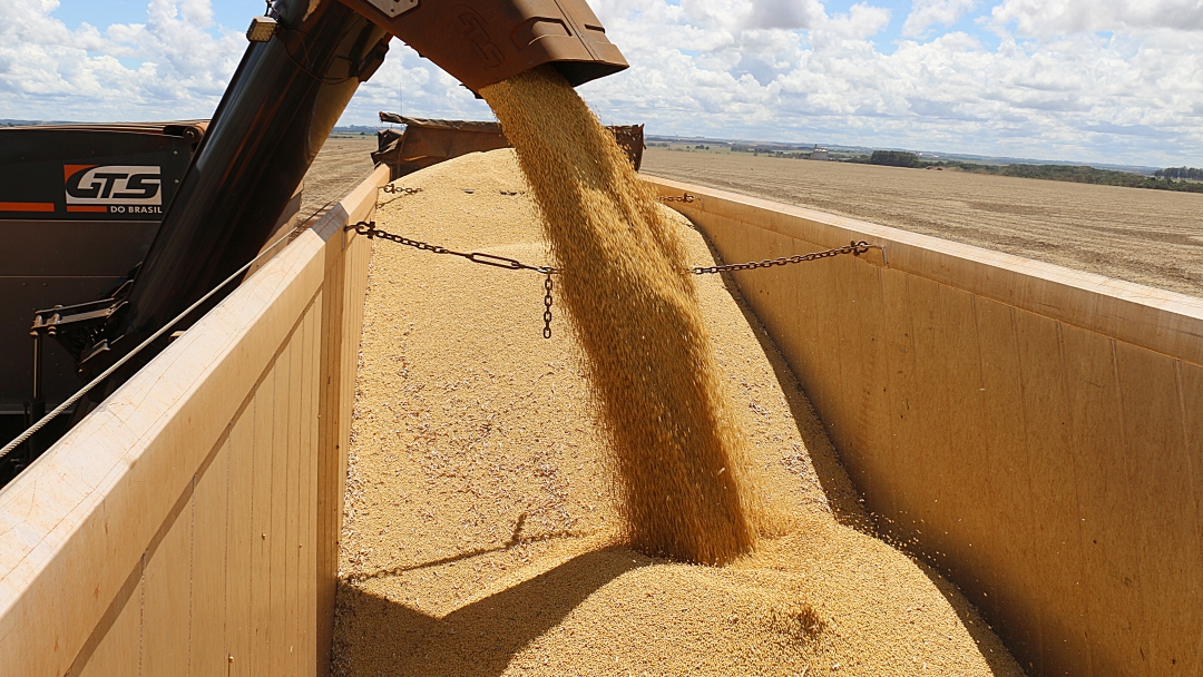 Mesmo com queda de 35% da produ&ccedil;&atilde;o de soja, Sidrol&acirc;ndia retoma 2&ordf; posi&ccedil;&atilde;o no ranking Estadual 