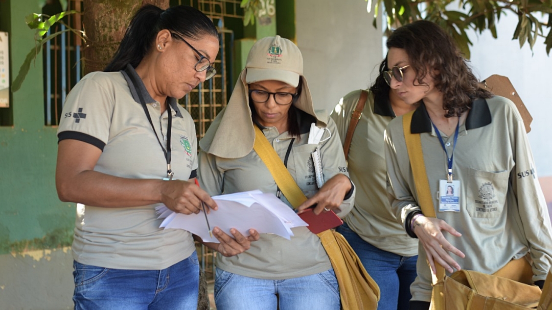 Vetores intensificam a&ccedil;&otilde;es de combate &agrave; dengue