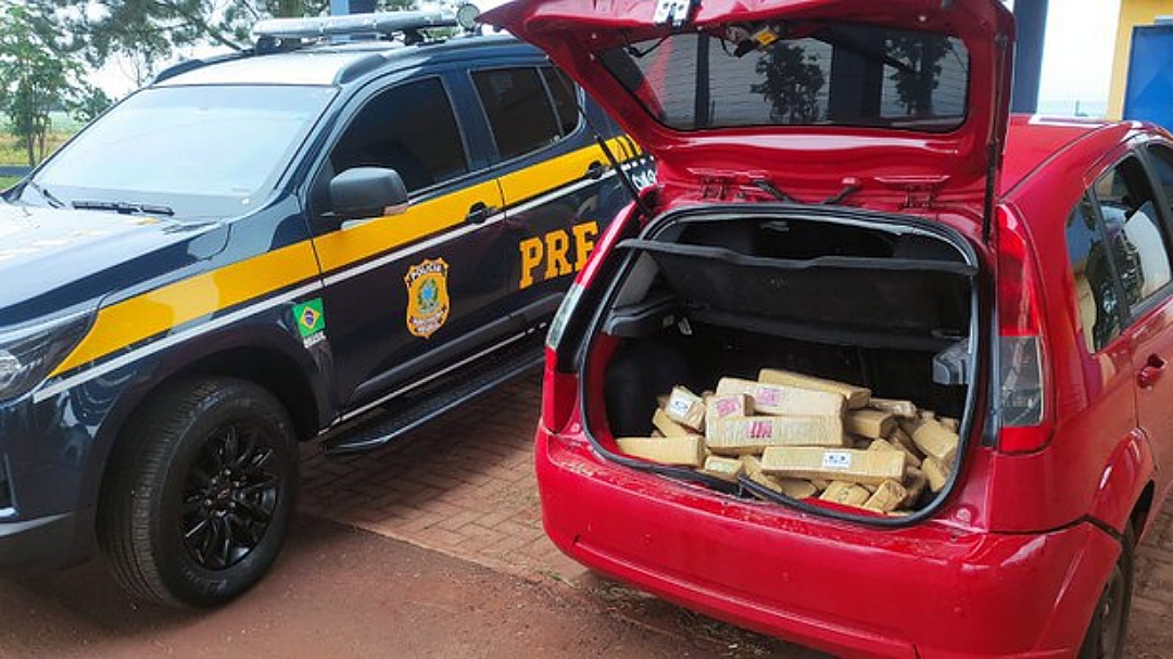 Em uma semana, Pol&iacute;cia apreende 330 kg de maconha e tr&aacute;fico deixa de faturar R$ 595 mil 