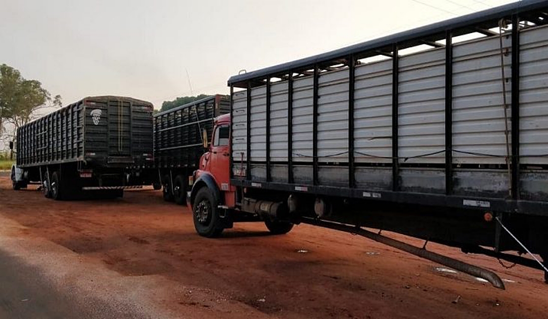 Iagro suspende obrigatoriedade do uso do aplicativo de transporte de animais