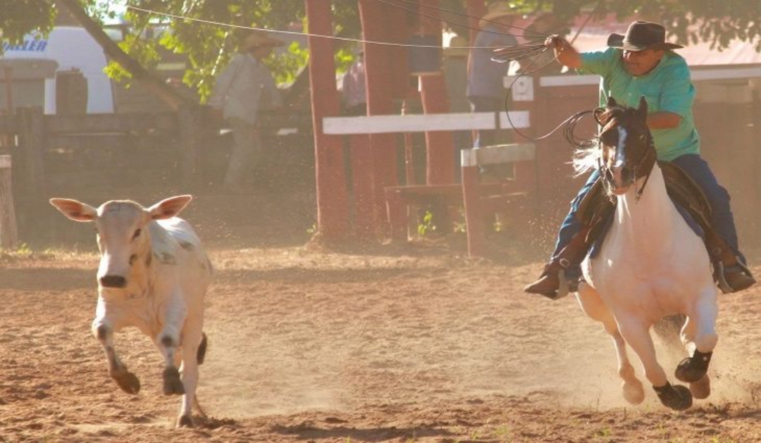 Entrega de arenas e Brasileiro de La&ccedil;o Comprido est&atilde;o na agenda esportiva do Estado nesta semana