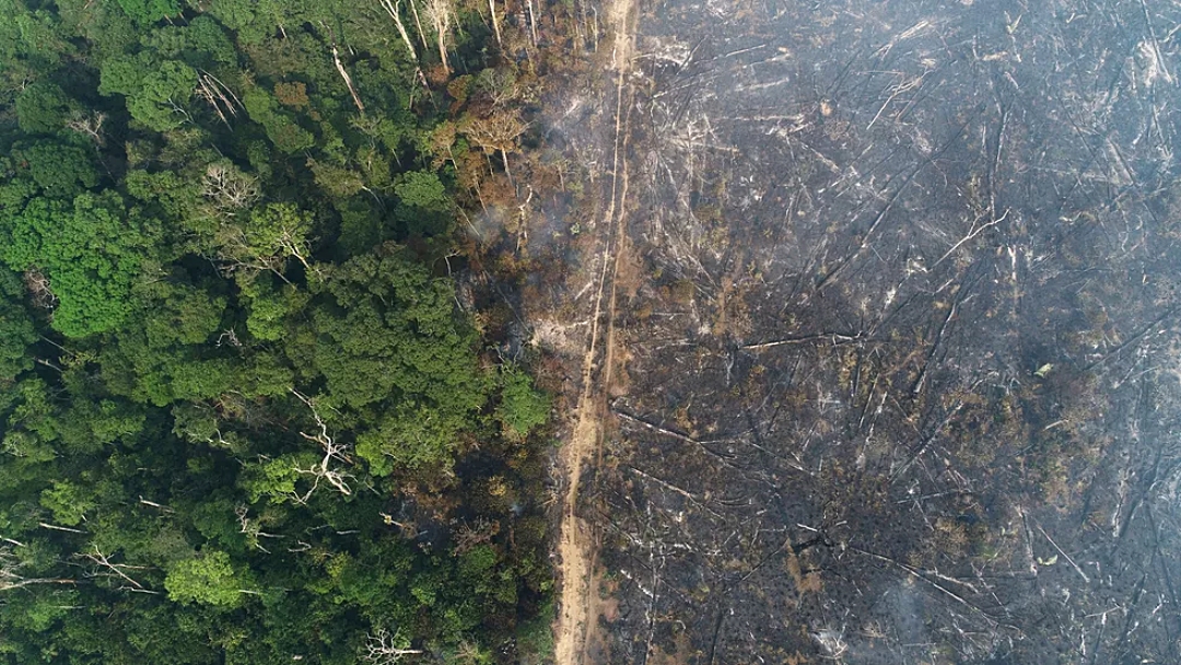 Governo pro&iacute;be uso do fogo no Brasil por 120 dias