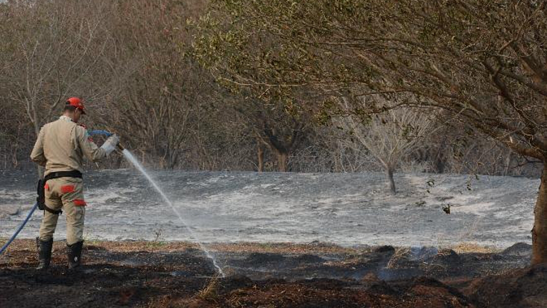 Focos de inc&ecirc;ndio reduzem 50% neste ano