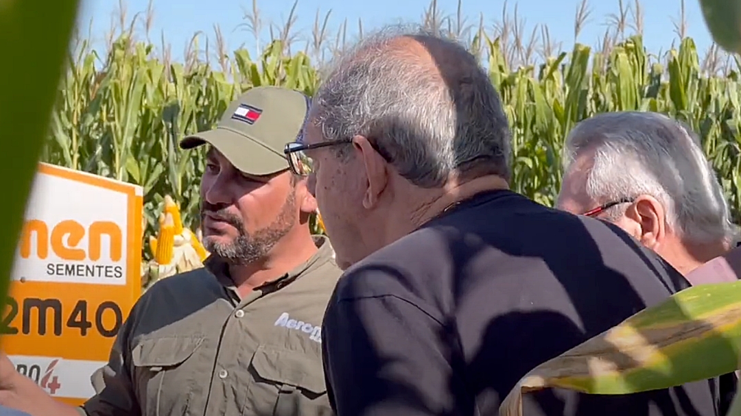 Em Dia da Campo da Galp&atilde;o, Agromen apresenta h&iacute;bridos tolerante a &lsquo;cigarrinha&rsquo; com alta produtividade