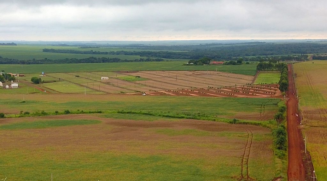 Estado &eacute; o 1&ordm; do Brasil em desenvolvimento agropecu&aacute;rio