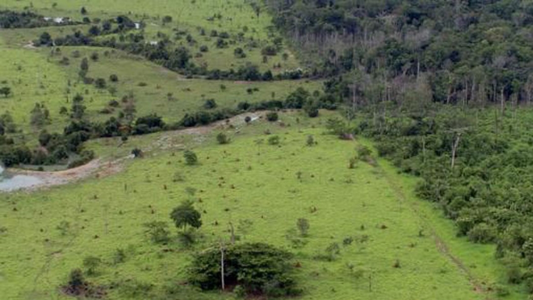 Propriet&aacute;rio rural pode emitir Certificado de Cadastro de Im&oacute;vel