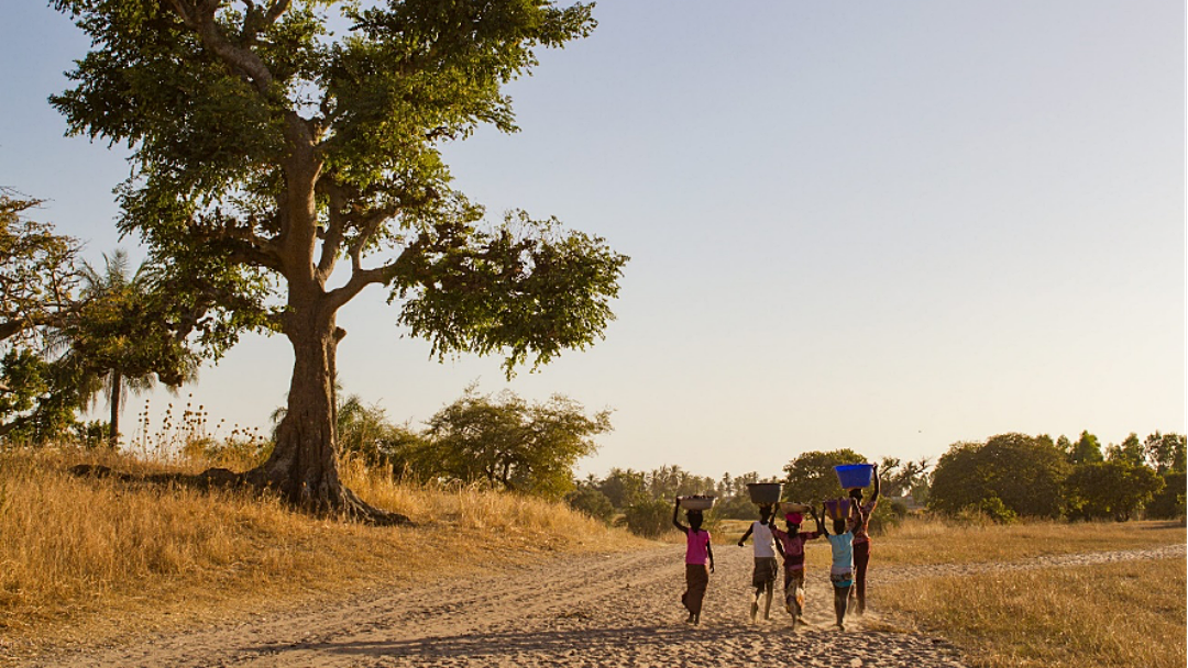 O imperd&iacute;vel e hist&oacute;rico: Senegal