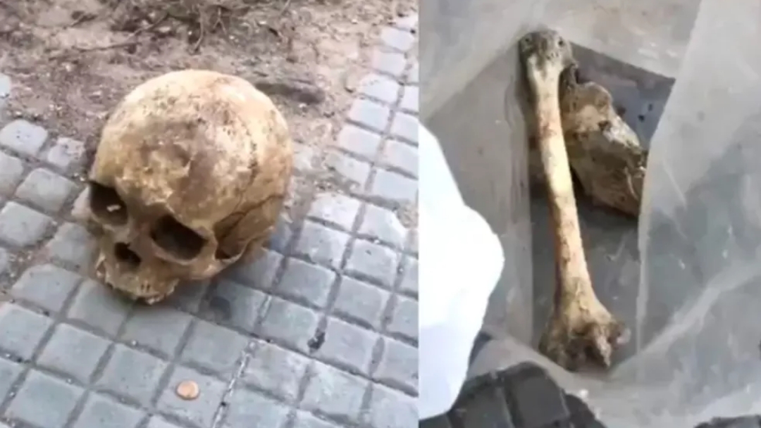 Ossada humana é encontrada dentro de sacola próxima de escola