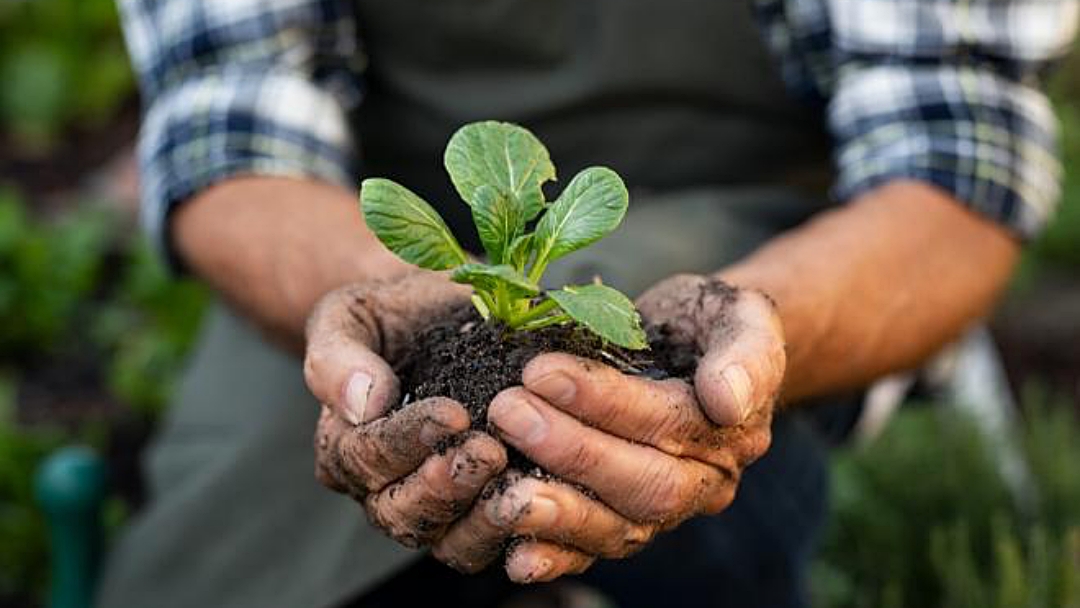 MS se destaca por pioneirismo em agropecu&aacute;ria mais sustent&aacute;vel