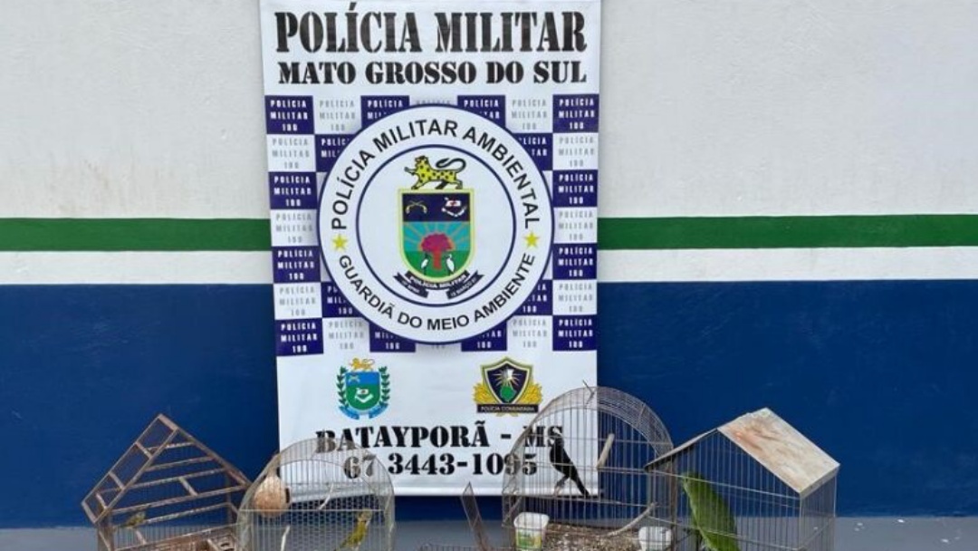 Homem &eacute; preso e multado em R$ 12 mil por manter aves em cativeiro