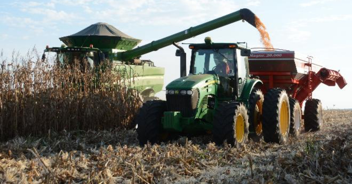 Contrata&ccedil;&atilde;o de seguro agr&iacute;cola sobe 59%