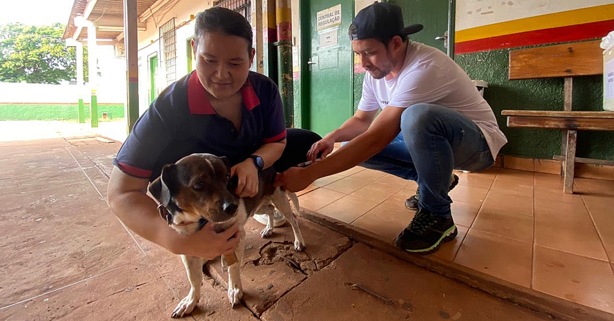 Com mais de 8 mil animais vacinados, Sidrol&acirc;ndia atinge meta de vacina&ccedil;&atilde;o