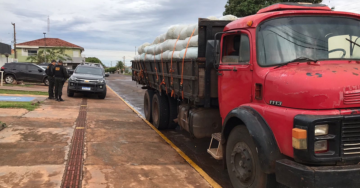 Policiais do DOF fazem apreens&atilde;o de aproximadamente 800 quilos de maconha