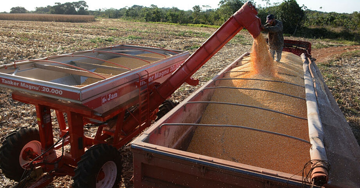 Exporta&ccedil;&otilde;es de milho e farelo de soja aumentam entre janeiro e setembro em MS