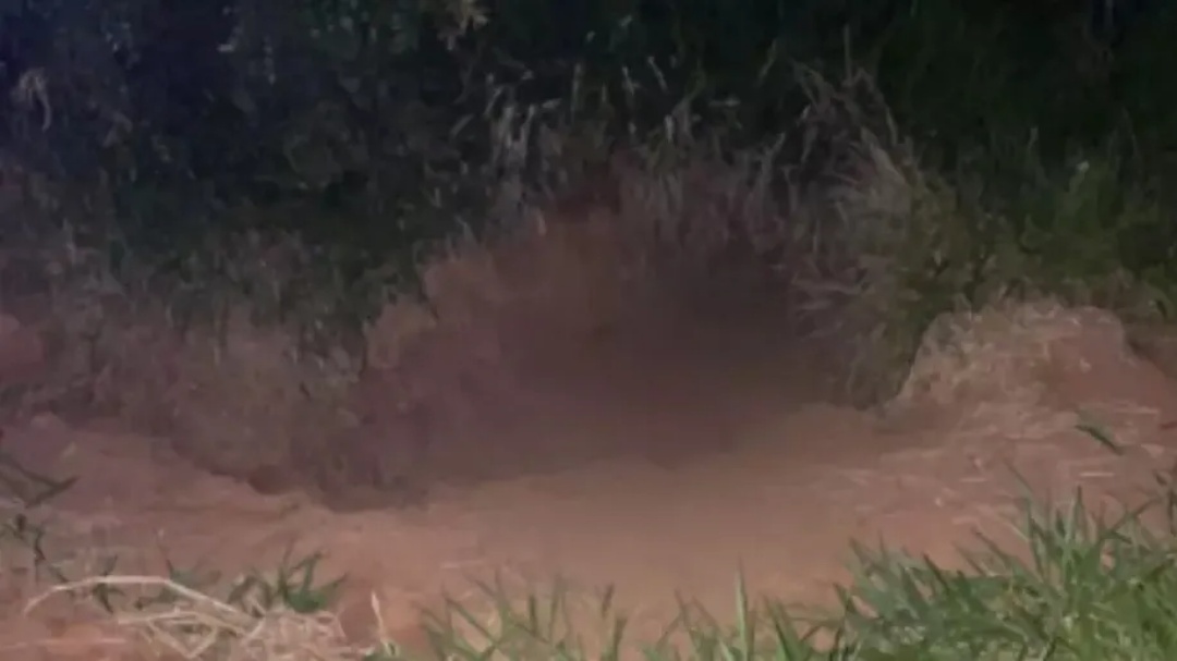 Durante brincadeira com pipas, crian&ccedil;as encontram corpo parcialmente queimado 