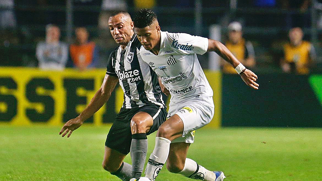 De olho em vaga na Libertadores, Botafogo recebe o Santos