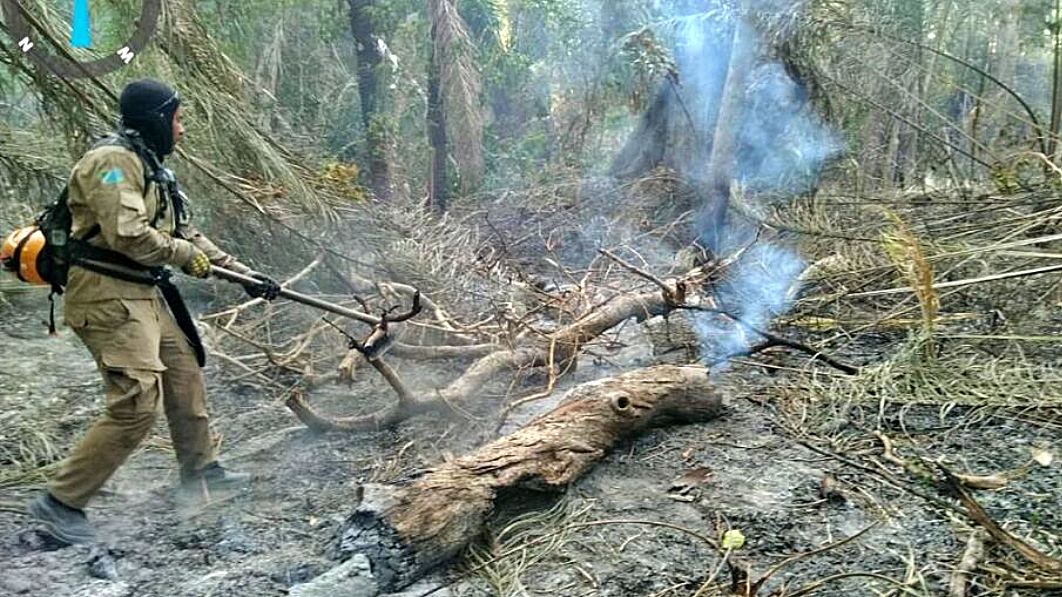 Ap&oacute;s quatro dias, Corpo de Bombeiros controla focos de inc&ecirc;ndio no Pantanal