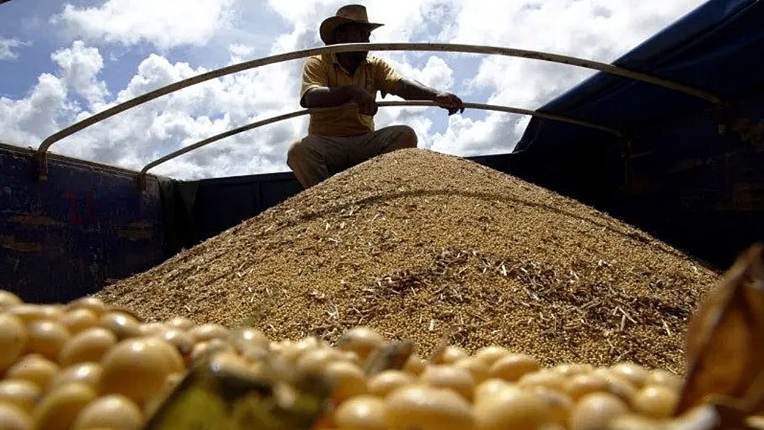 Safras prev&ecirc; recorde de colheita de soja no Brasil em 154,5 mi de toneladas
