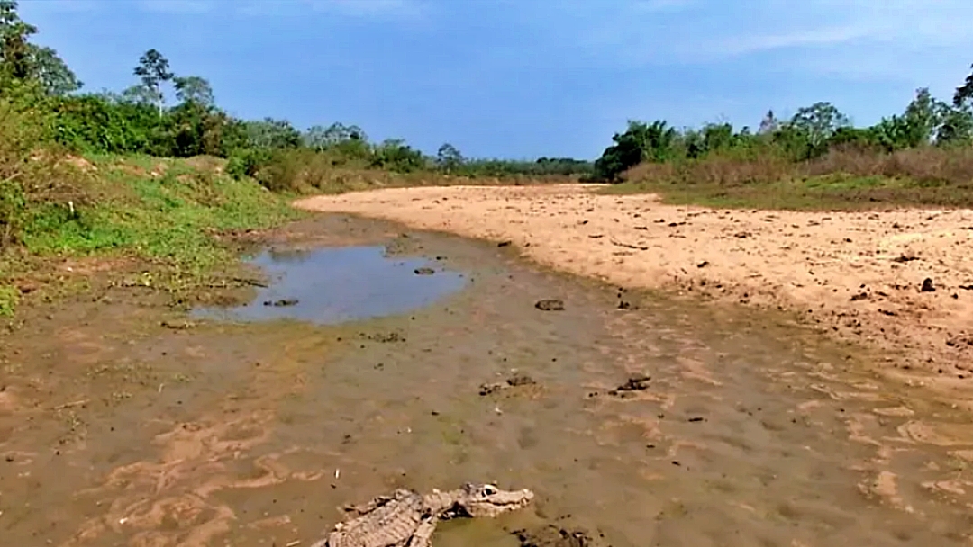 Rio Taquari no Pantanal de MS &eacute; tema de discuss&atilde;o da COP-27 no Egito
