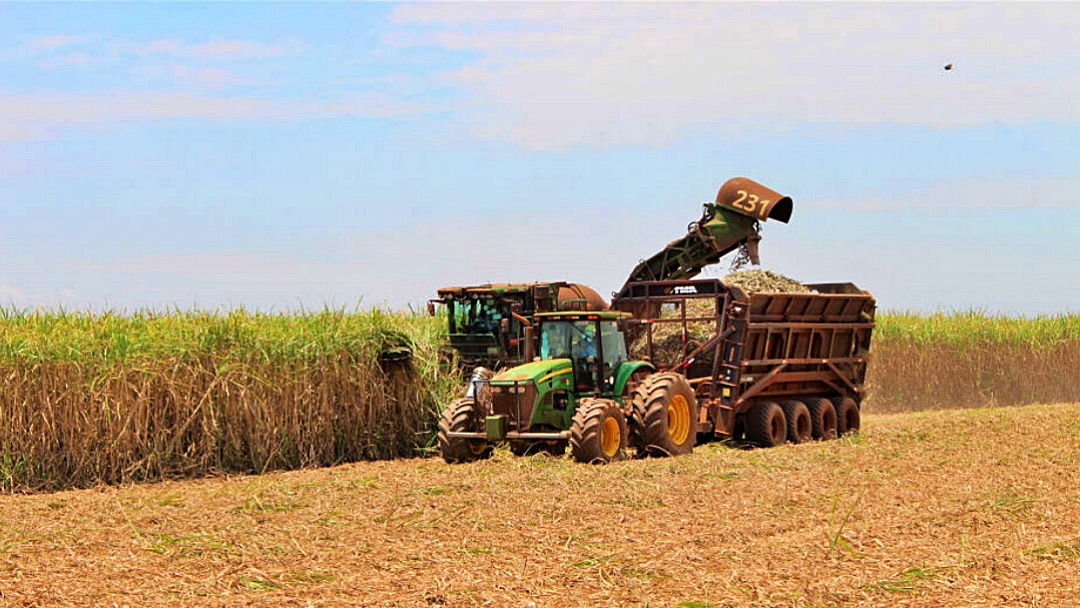 Setor sucroenerg&eacute;tico do Estado exportou US$ 380 milh&otilde;es