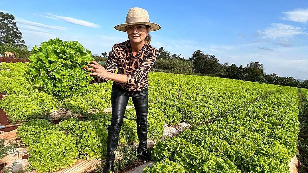 Com 41% da produ&ccedil;&atilde;o, Sidrol&acirc;ndia lidera abastecimento da Capital de verduras e legumes